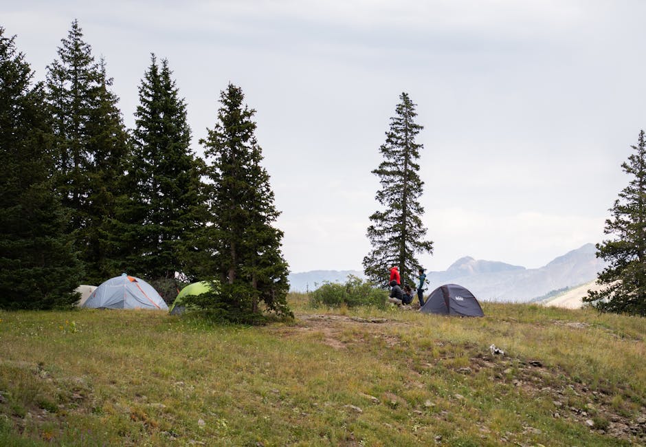 Peaceful camping scene with tents and pine trees against mountain backdrop.