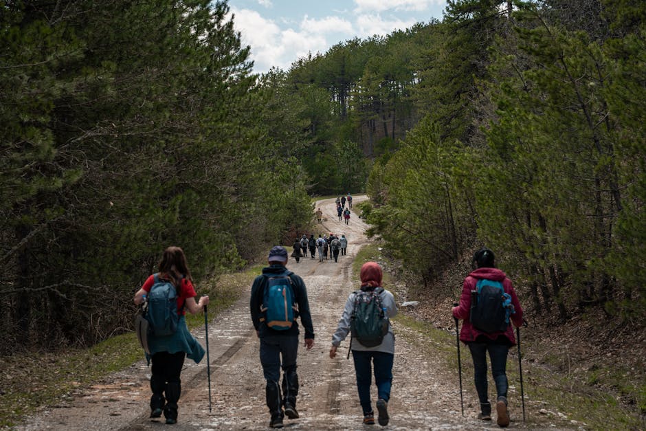 A large group of hikers exploring a forest trail. Perfect for adventure and outdoor recreation themes.